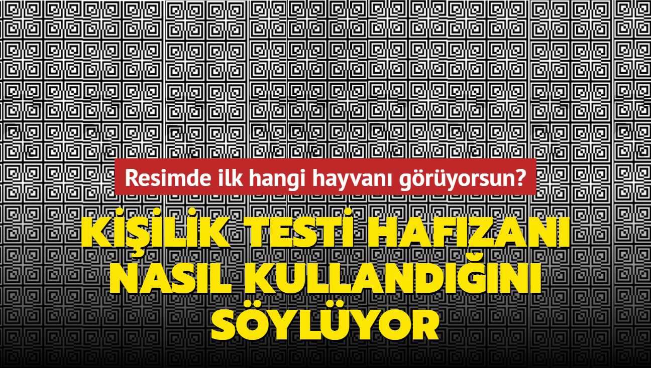 Resimde ilk hangi hayvan gryorsun" Kiilik testi hafzan nasl kullandn sylyor