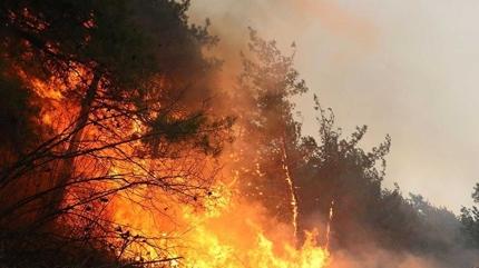 �ran'da orman yang�n�... 80 hektarl�k alan k�l oldu