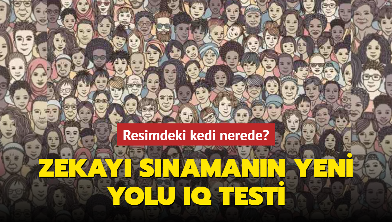 Kiilik testi: Resimdeki kedi nerede" Zekay snamann yeni yolu IQ testi