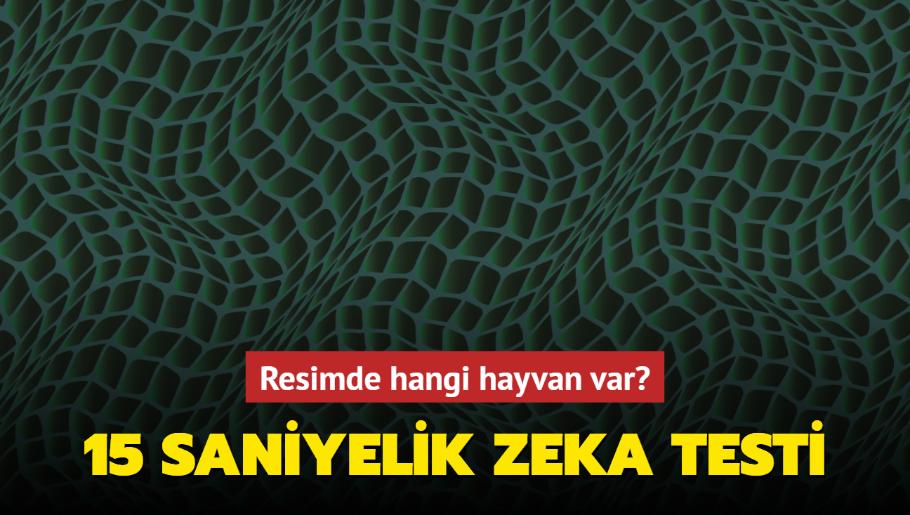 15 saniyelik beyin testi! Resimde hangi hayvan var" Zekasna gvenenler iin kiilik testi