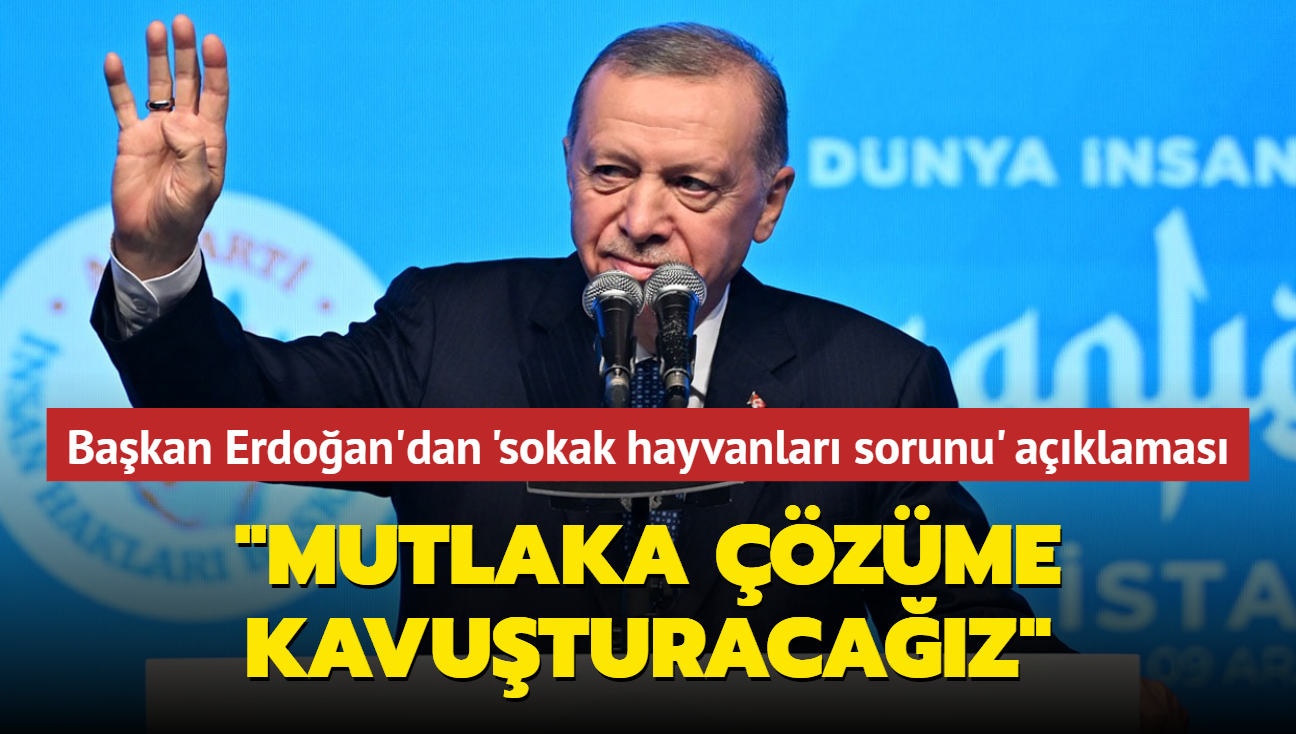 Başkan Erdoğan'dan 'sokak hayvanları sorunu' açıklaması... "Mutlaka çözüme kavuşturacağız"
