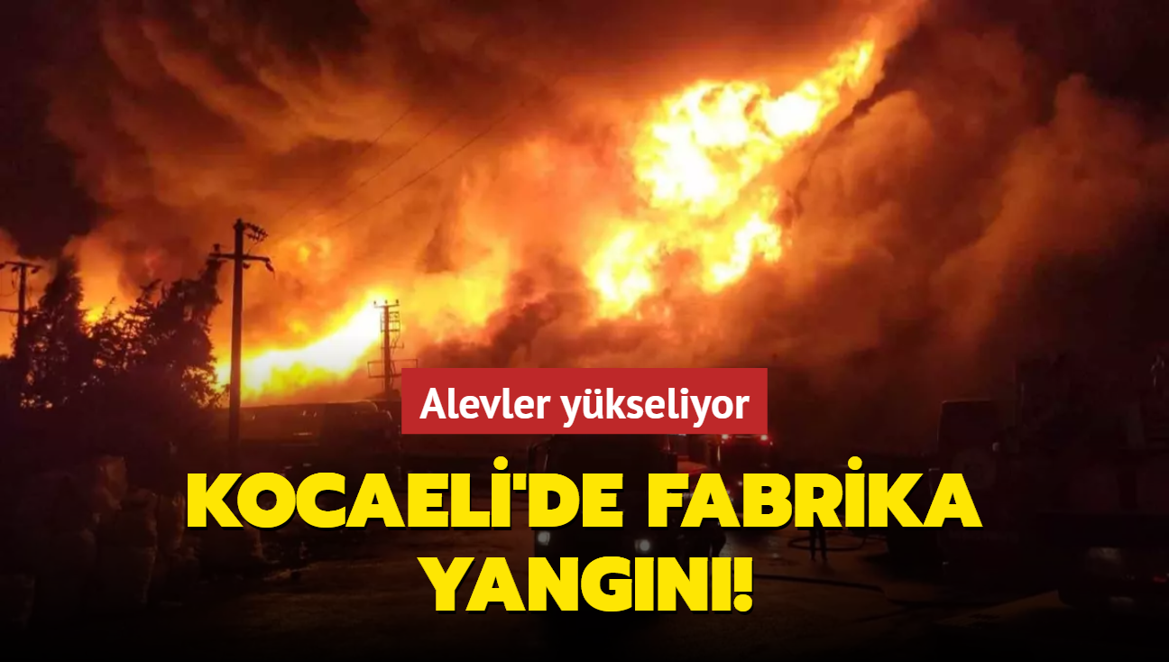Kocaeli'de fabrika yangını! Alevler yükseliyor