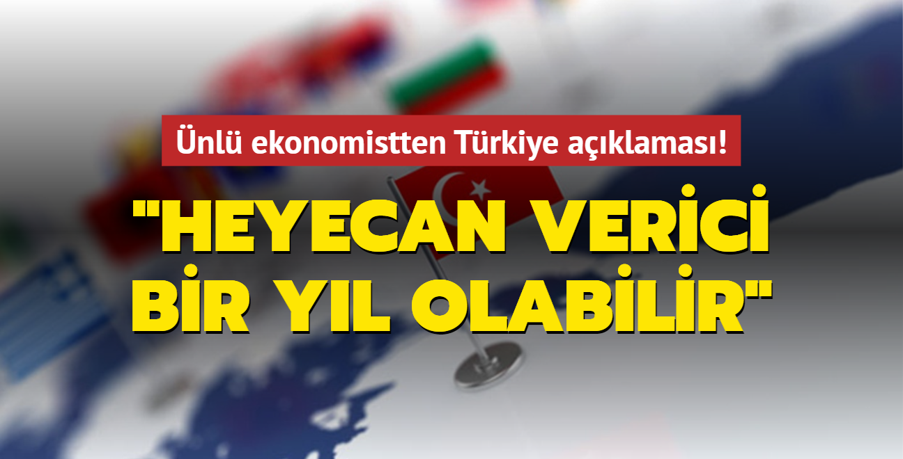 nl ekonomistten Trkiye aklamas: Heyecan verici bir yl olabilir