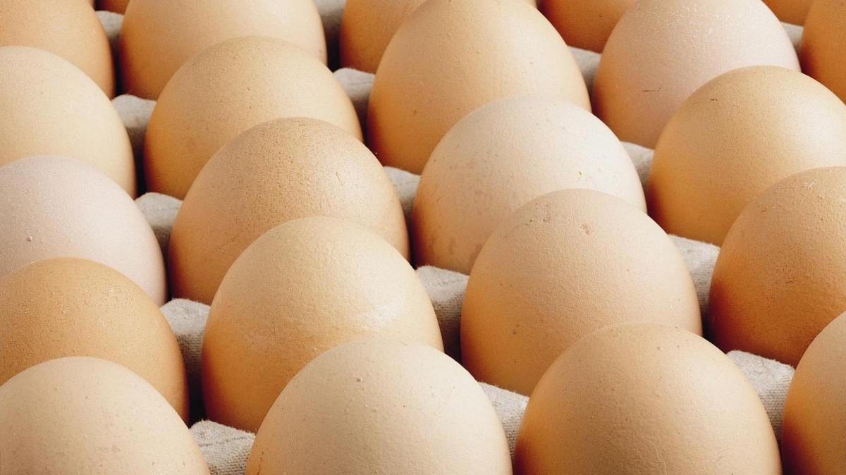 Trkiye'den Rusya'ya yumurta ihracat