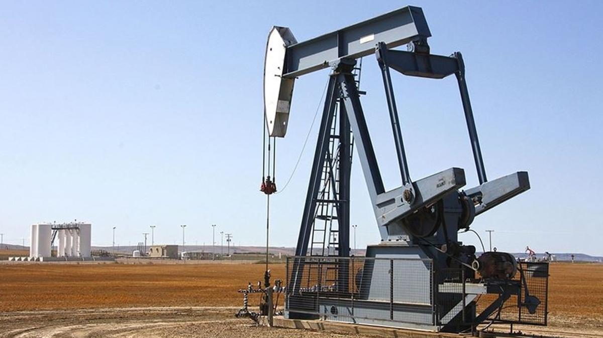 Bulgaristan'dan Rus petrol karar: Yasaklayacaklar