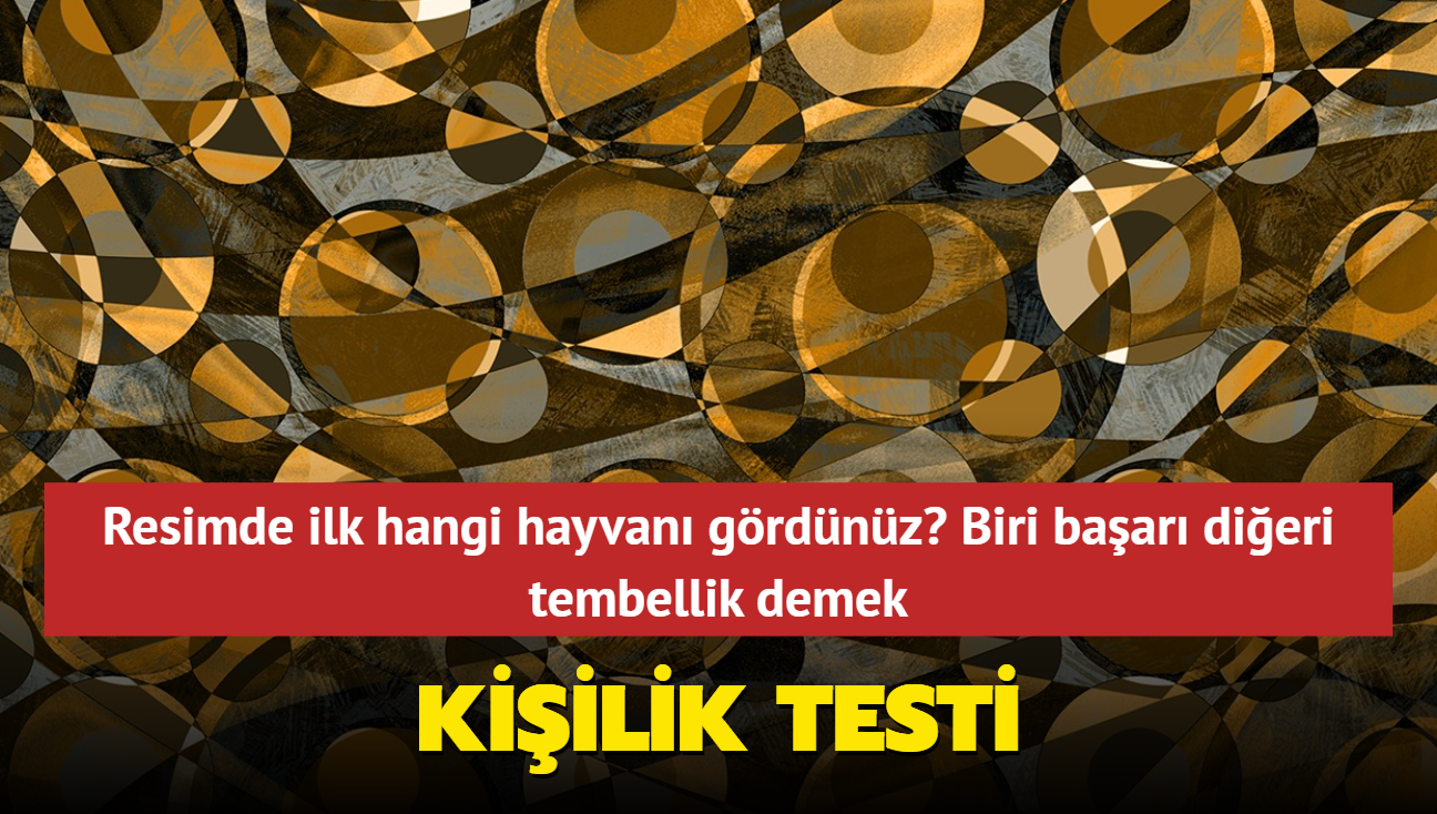 Kiilik testi: Resimde ilk hangi hayvan grdnz" Biri baar dieri tembellik demek