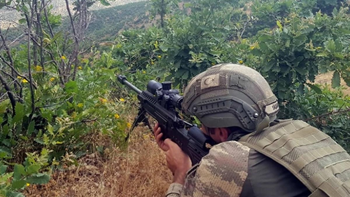 Bitlis'te terr rgt PKK'ya operasyon