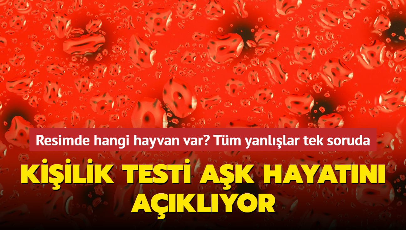 Kiilik testi akn analiz ediyor! Resimde hangi hayvan var" 