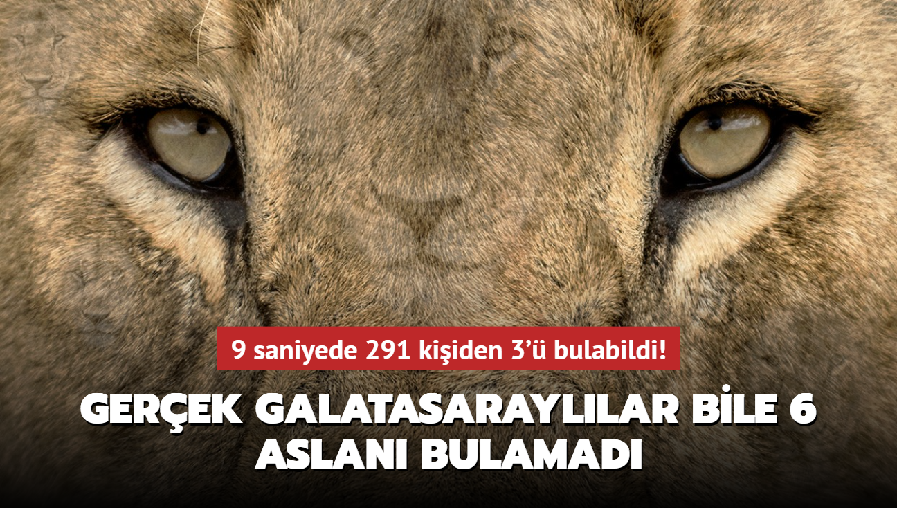 Zeka testi: Gerek Galatasarayllar bile 6 aslan bulamad! 9 saniyede 291 kiiden 3' bulabildi