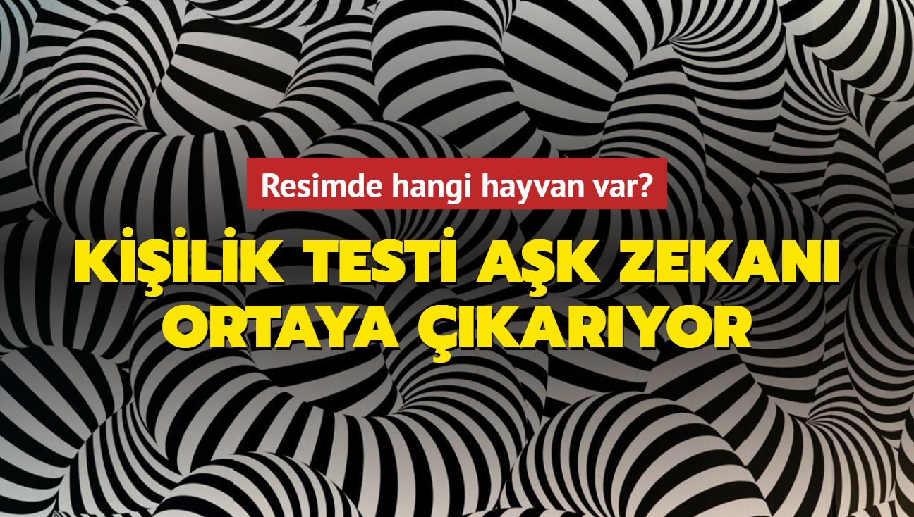 Resimde hangi hayvan var" Kiilik testi ak zekan ortaya karyor