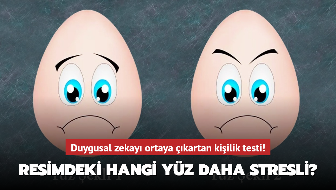 Duygusal Zeka Yapısını Ortaya çıkartan Kişilik Testi Resimdeki Hangi Yüz Daha Stresli 