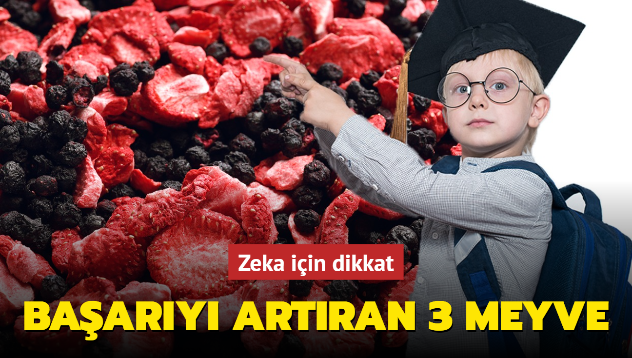 ocuklarn okul baarsn artran 3 meyve! Zeka iin beslenme meyvelerine dikkat