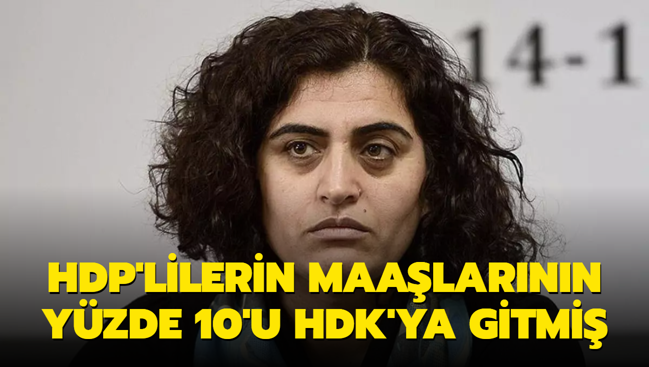 HDP'lilerin maalarnn yzde 10'u HDK'ya gitmi
