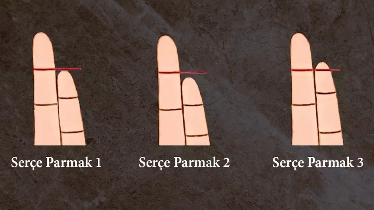Kiilik testi: Sere parmak eklin nasl" Ne kadar zekisin ortaya kyor