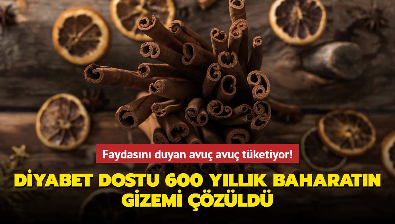 Faydasn duyan avu avu tketiyor! Diyabet dostu 600 yllk baharatn gizemi zld