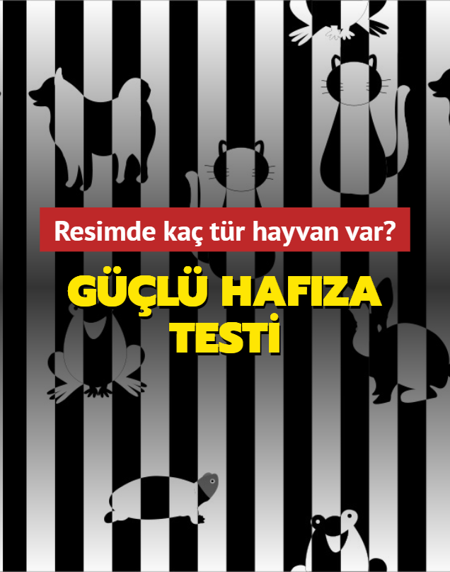 Gl hafza testi: Resimde ka tr hayvan var" Hafzan test ediyoruz