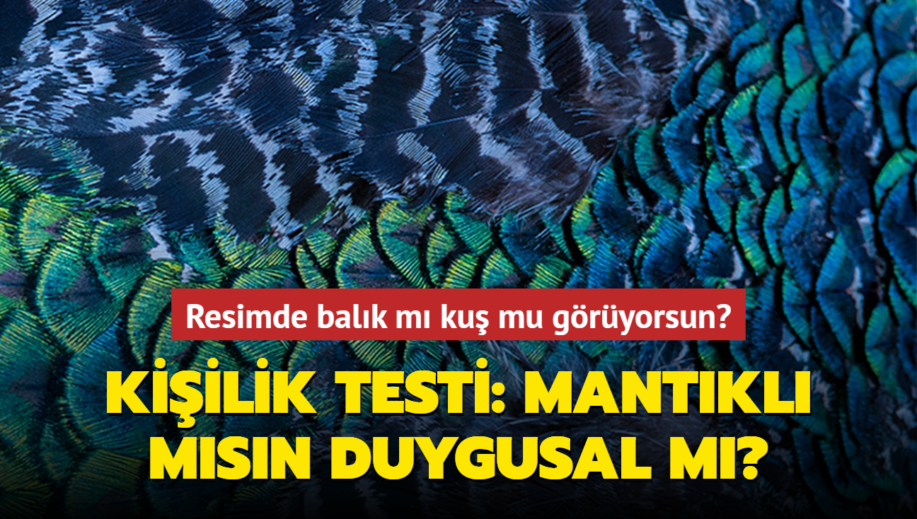 Kiilik testi: Resimde balk m ku mu gryorsun" Mantk m duygu mu nce geliyor"