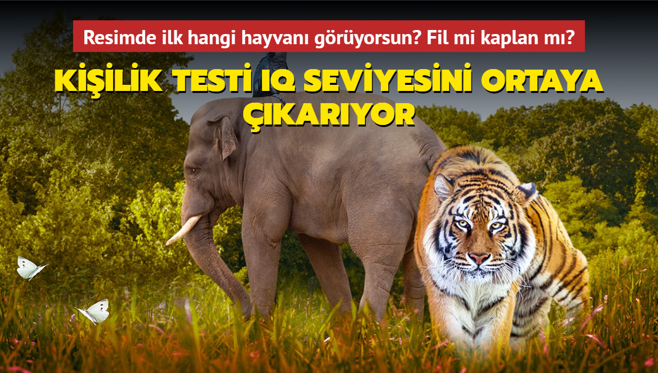 Kiilik testi IQ seviyesini ortaya karyor! Resimde ilk hangi hayvan gryorsun" Fil grenler...