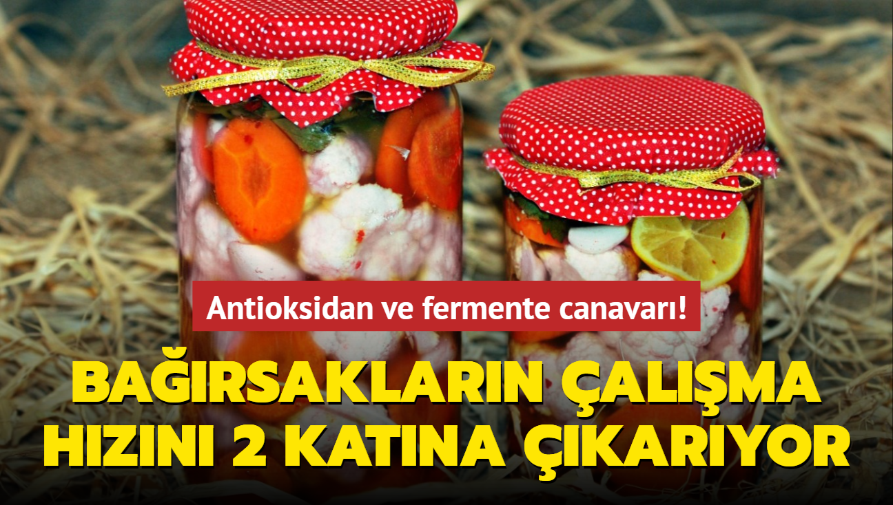 Antioksidan ve fermente canavar! Barsaklarn alma hzn 2 katna karyor