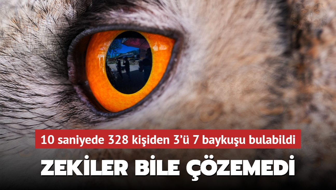 Grsel zeka testi: Zekiler bile zemedi! 10 saniyede 328 kiiden 3' 7 baykuu bulabildi