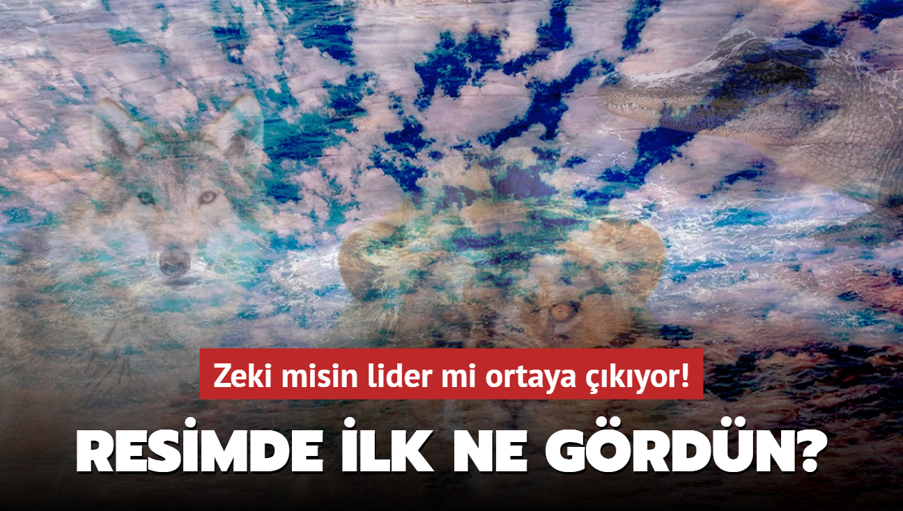 Kiilik testi: Resimde ilk ne grdn" Zeki misin lider mi ortaya kyor