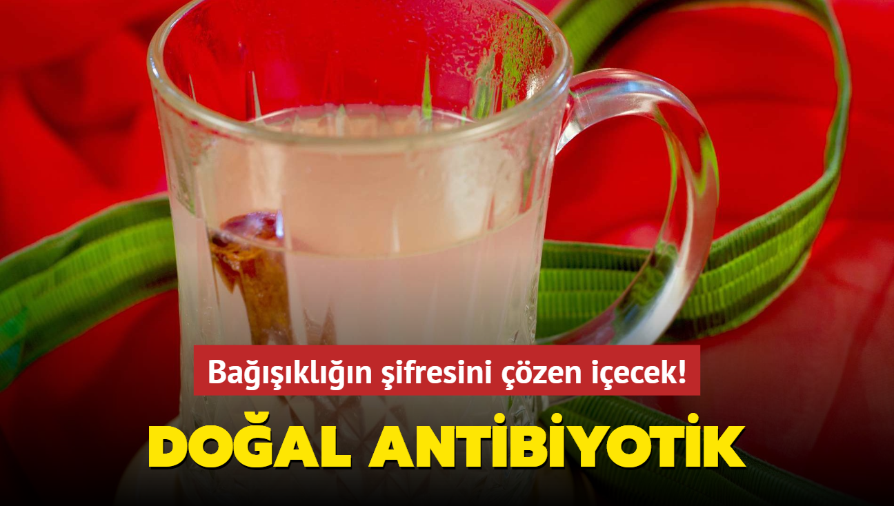 Bakln ifresini zen iecek! Zencefilli karm doal antibiyotik