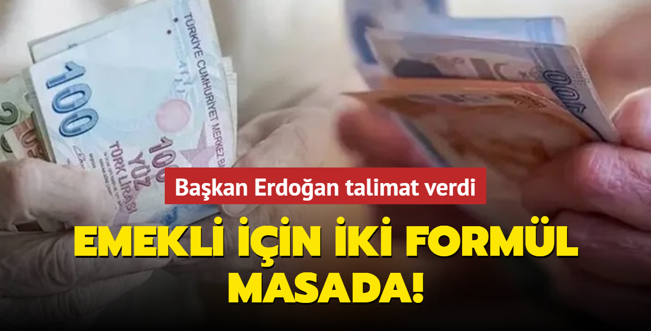 Bakan Erdoan talimat verdi! Emekli iin iki forml masada