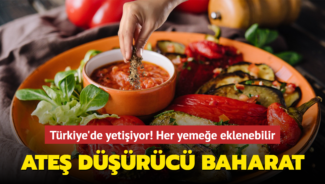 Ate drc baharat! Trkiye'de yetiiyor! Her yemee eklenebilir