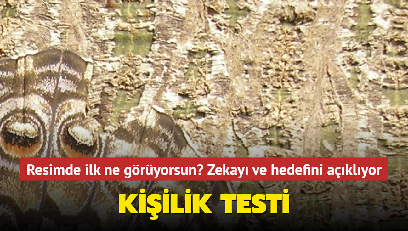 Resimdeki hayvan sadece yksek zekas olanlar doru gryor! Kiilik testi 