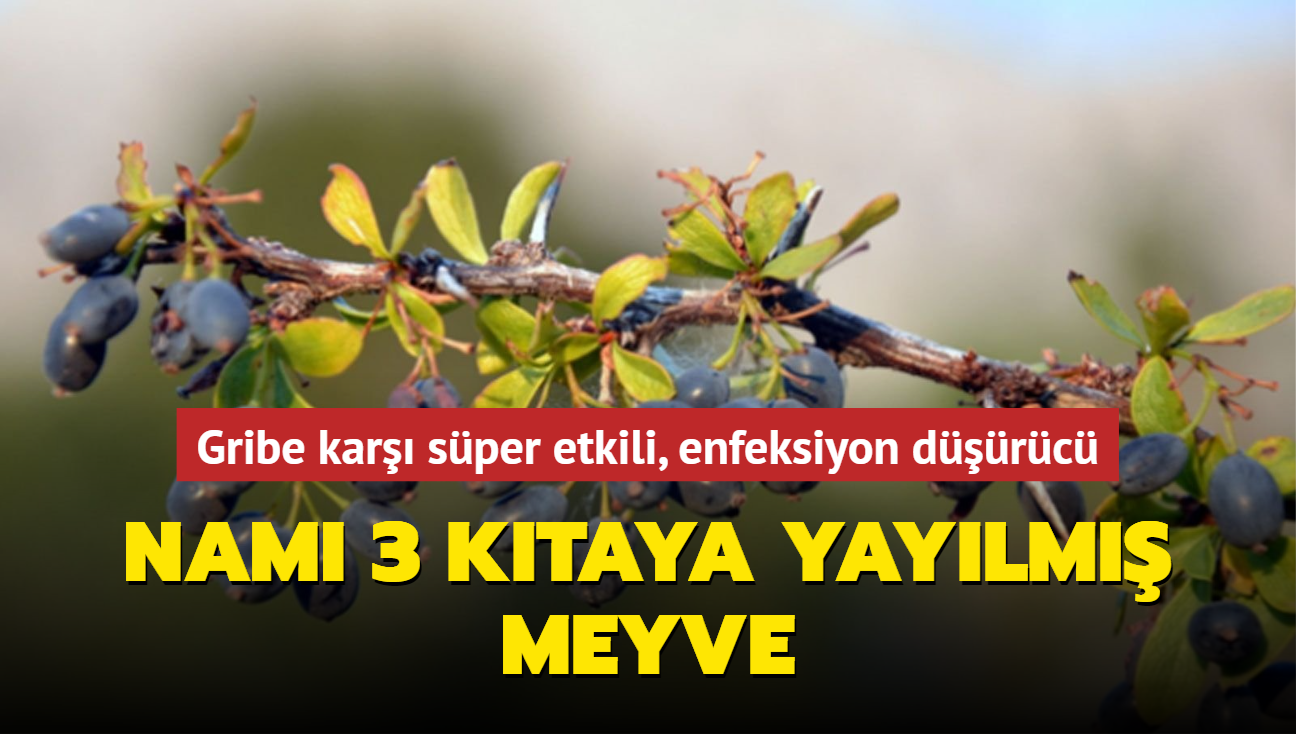 Nam 3 ktaya yaylm meyve! Gribe kar sper etkili, enfeksiyon drc