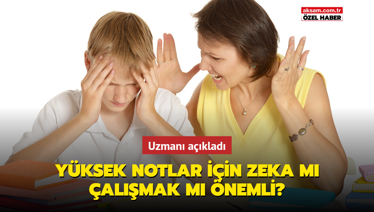 Yksek notlar iin zeka m almak m nemli" Tatilde dk notlar baarya dntrmenin srr