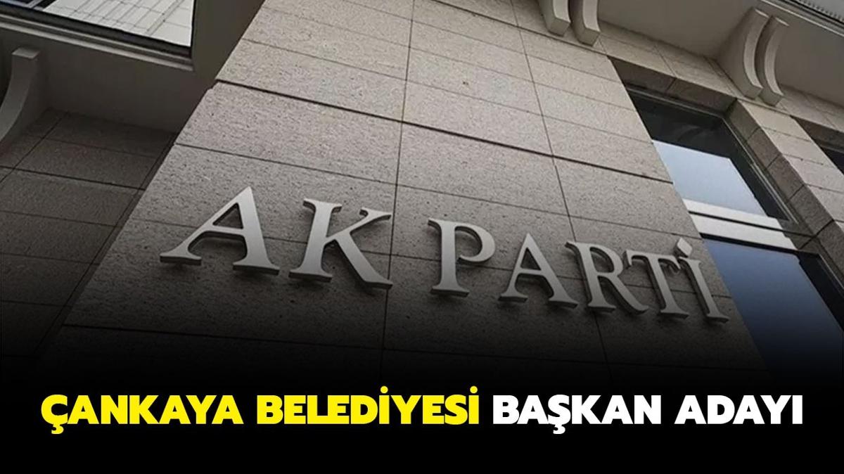 AK Parti Ankara ankaya Belediyesi Bakan aday kim" AK Parti ankaya Belediyesi Bakan aday Duhan Kalkan kimdir"