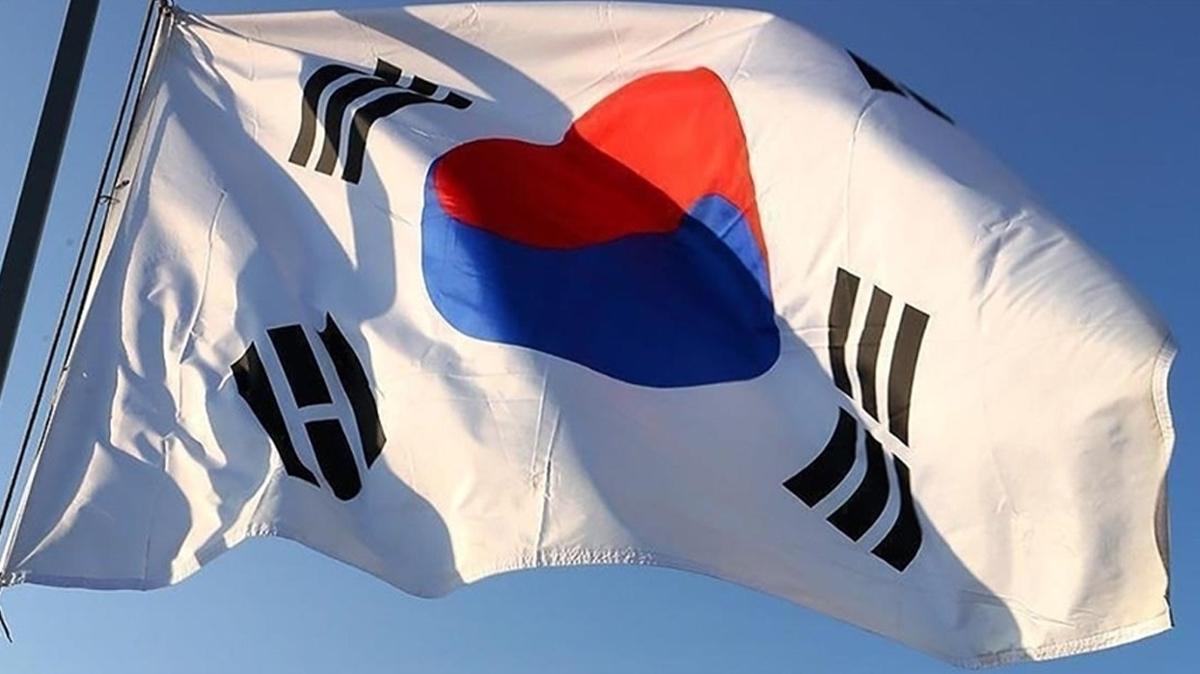 Gney Kore'de milletvekiline saldr