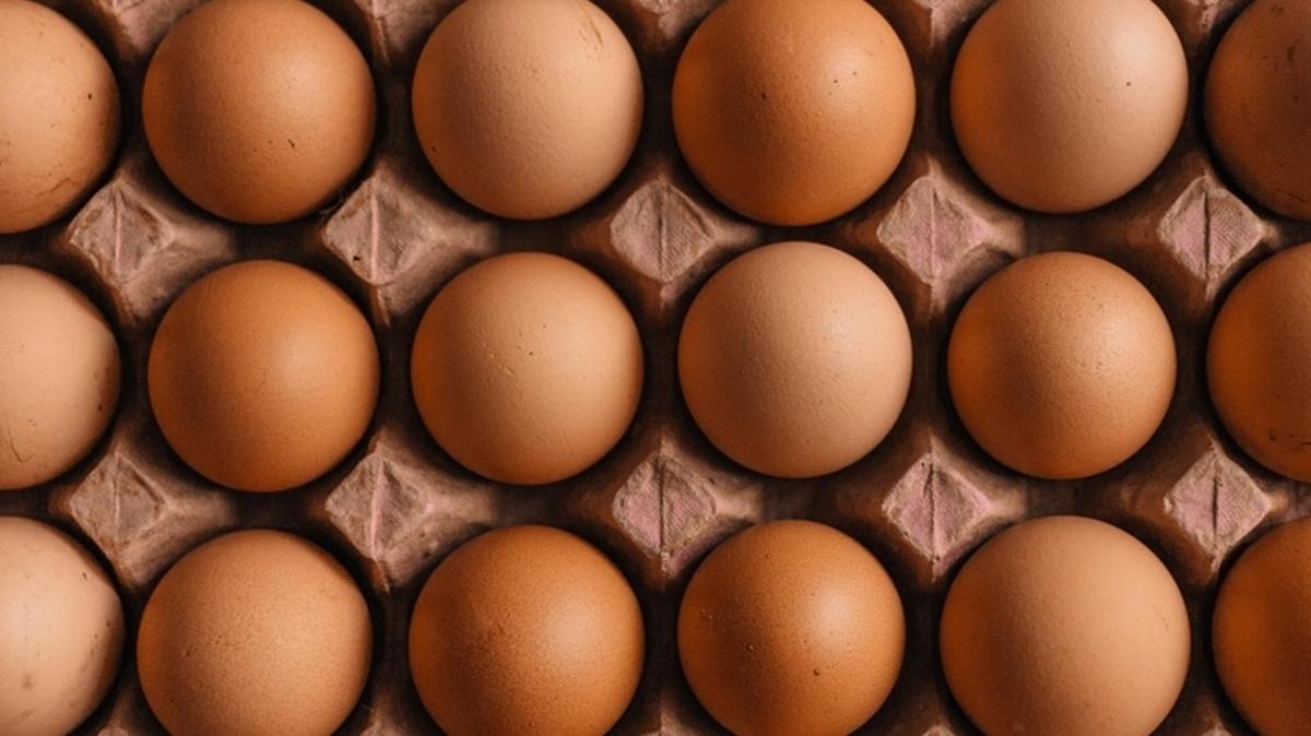 Rusya'ya 19 tonluk yumurta ihracat
