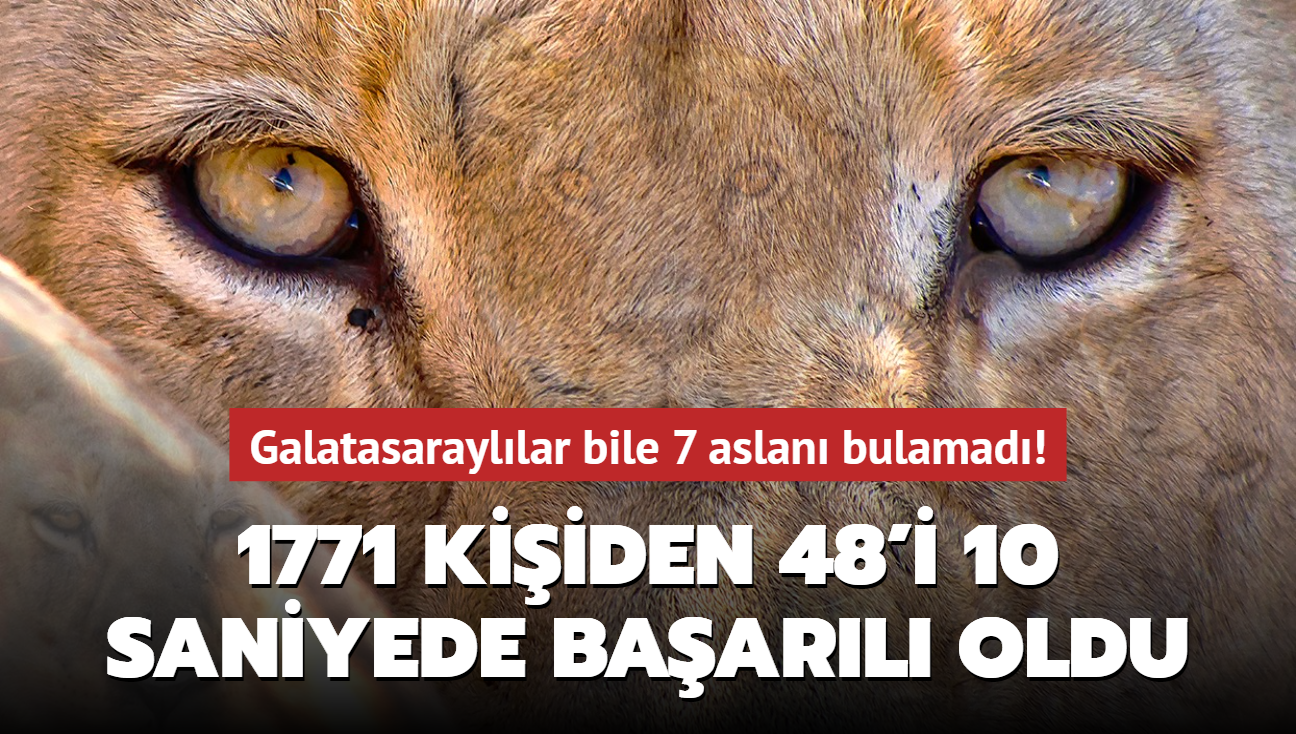 Zeka testi: Galatasarayllar bile 7 aslan bulamad! 1771 kiiden 48'i 10 saniyede baarl oldu...