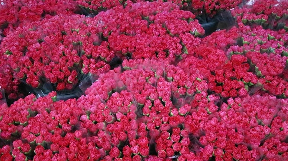 Çiçek üreticilerinden Hatay'a ücretsiz karanfil