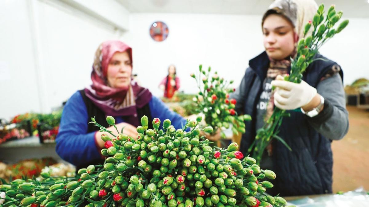 Sevgililere 70 milyon dal Türk çiçeği