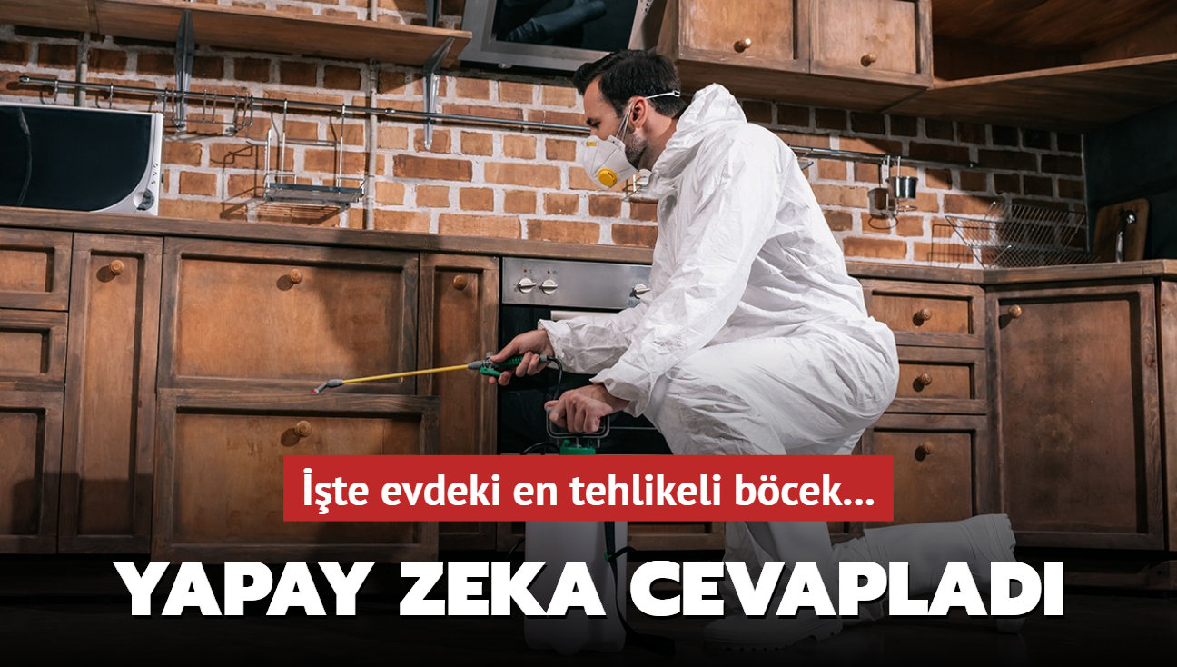 Yapay zeka cevaplad: Evdeki en tehlikeli bcek! Hamam bcekleri geride kald