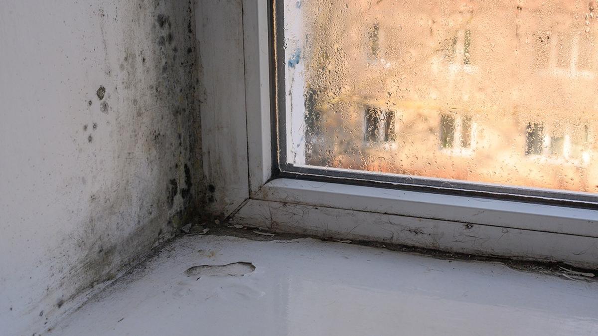 kf rutubet temizleme temizlik fotoraflar resimleri