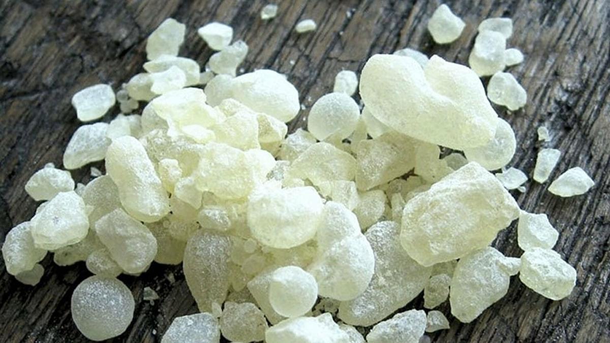 sandaloz sakz migren salk fotoraflar resimleri