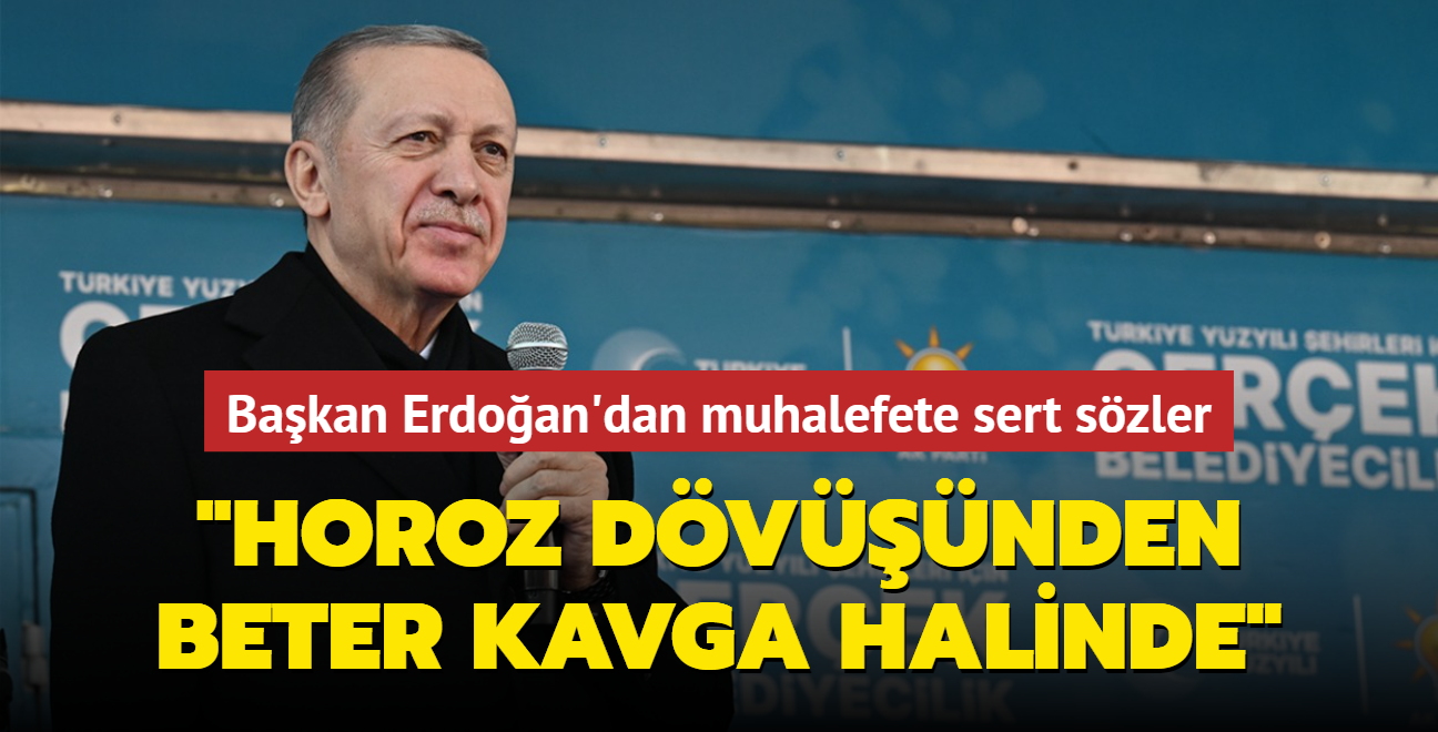 Başkan Erdoğan'dan muhalefete sert sözler: Horoz dövüşünden beter kavga halinde