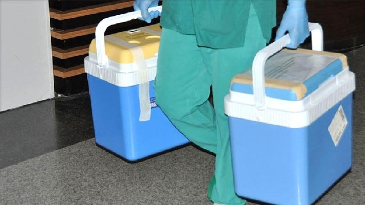 Balkesir'de balanan organlar 3 hastaya umut oldu