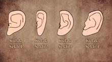 Kişilik testi: Kulak şeklin nasıl? Lider misin zeki mi ortaya çıkıyor