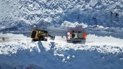 Van, Mu ve Bitlis'te kar etkili oldu