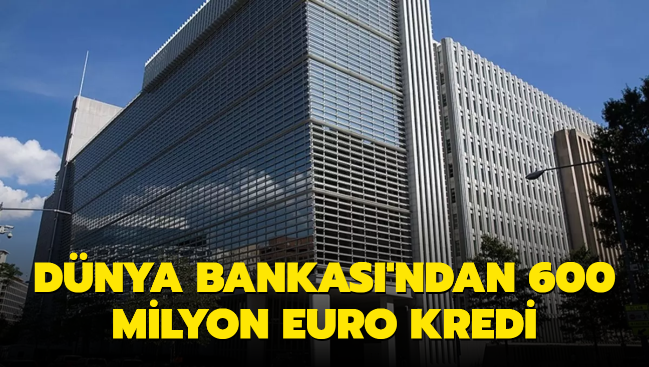 Dnya Bankas'ndan 600 milyon euro kredi