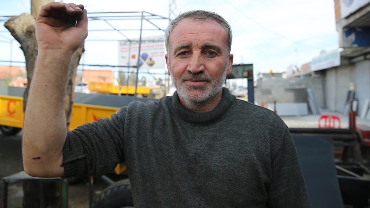 Diyarbakr'da sahipsiz kpek vaheti! 8 kii yaraland