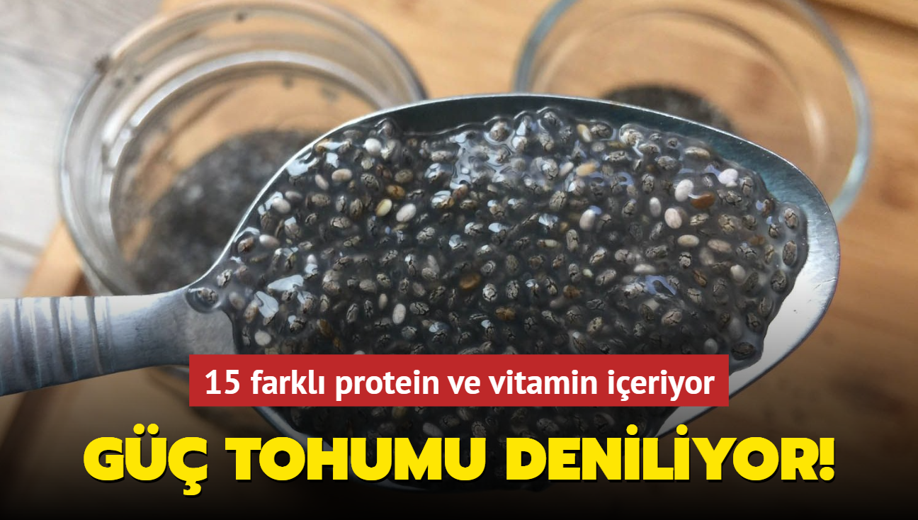 G tohumu deniliyor! 15 farkl protein ve vitamin ieriyor, kemikler elik gibi