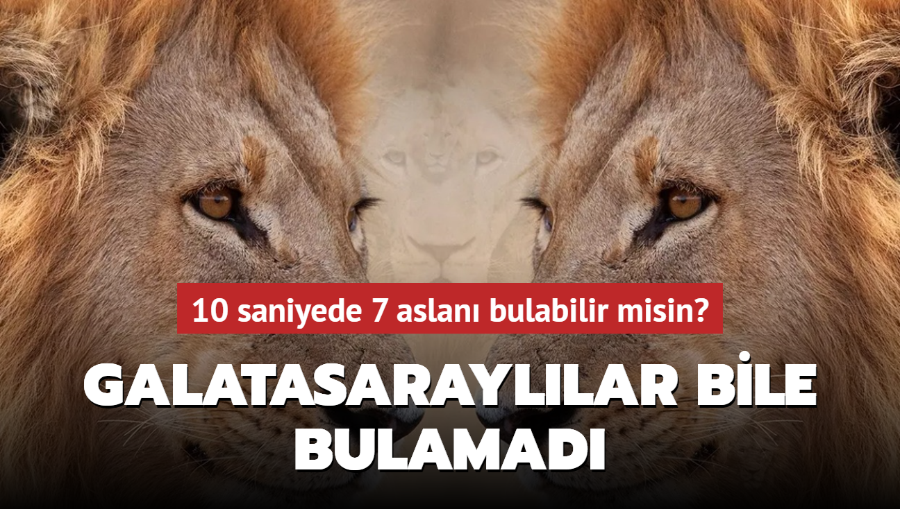 Zeka testi: 10 saniyede 7 aslan bulabilir misin" Galatasarayllar bile bulamad...