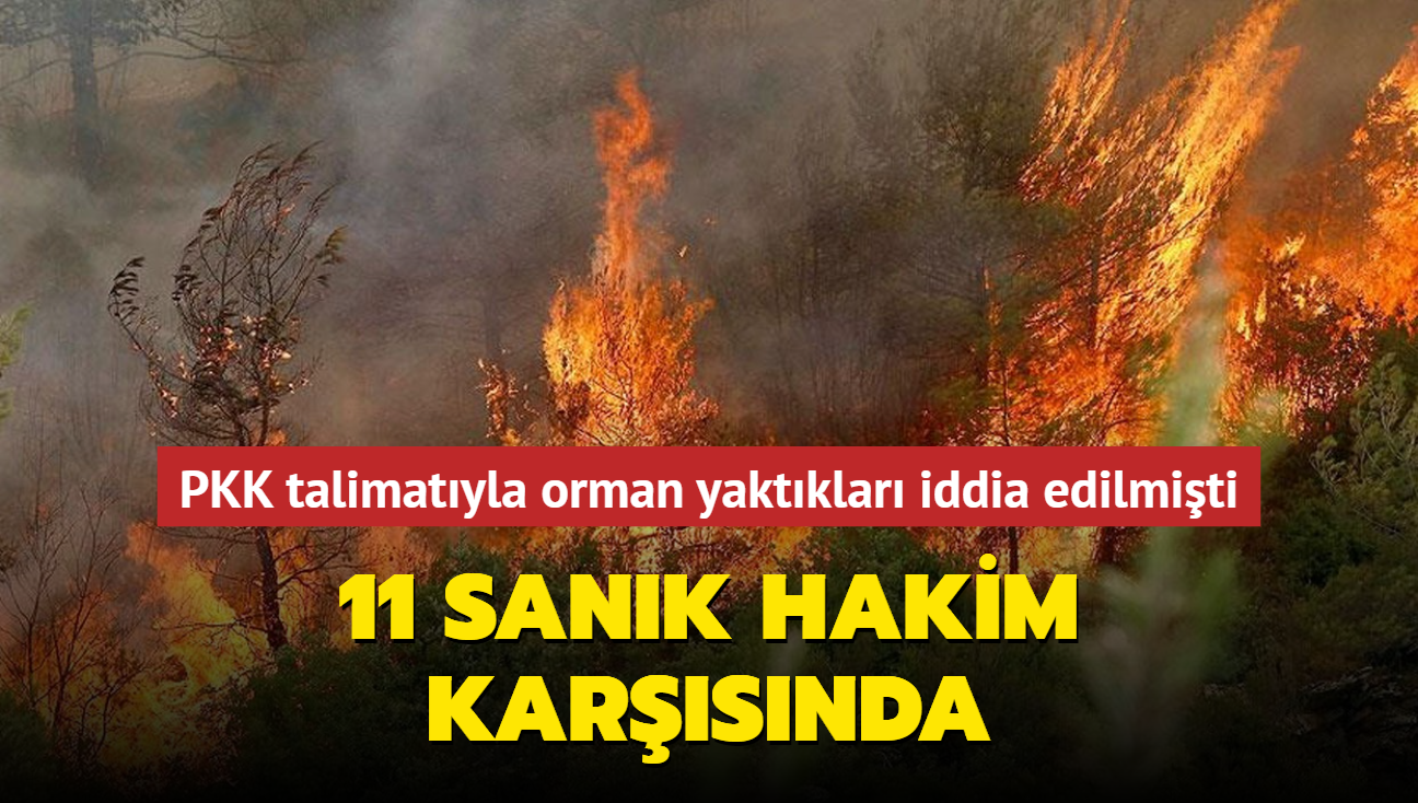 Terr rgt PKK talimatyla orman yaktklar iddia edilmiti: 11 sank hakim karsnda