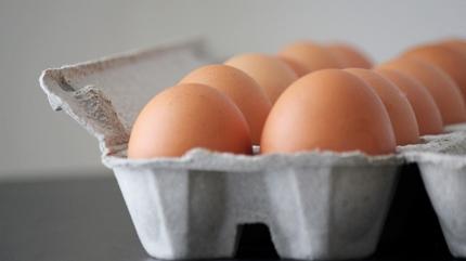 Satn aldnz yumurta kaliteli mi? te anlamann en basit yolu
